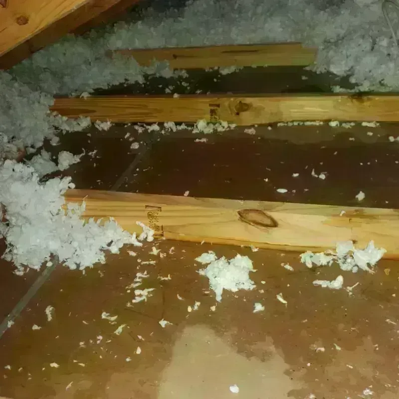 Attic Water Damage in East Alton, IL