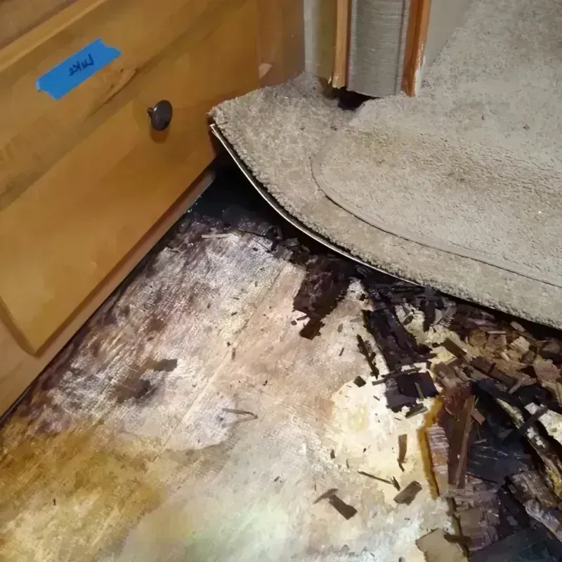 Best Wood Floor Water Damage Service in East Alton, IL